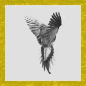 Click here to download the Brush