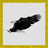 Click here to download the Brush