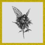 Click here to download the brush