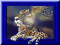 Click here to inlardge this Pic