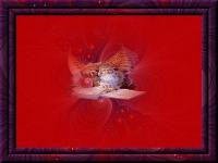 Click here to inlardge this Pic