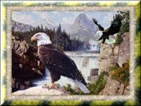 Click here to inlardge this Pic