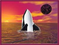 Click here to inlardge this Pic