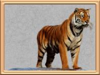 Click here to see full size